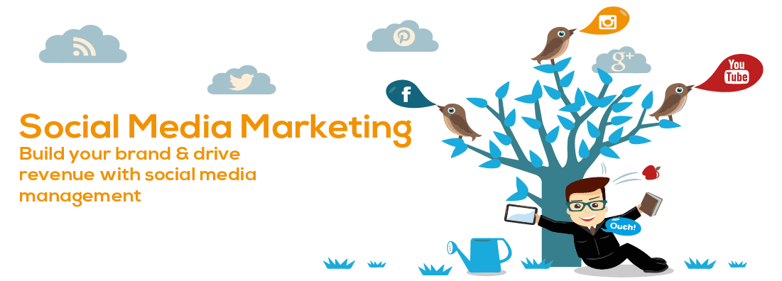 social media optimizetion(smo) in Amroha